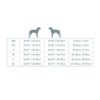 Harness, Non-Chocking,  Travel,  Reflective, Lightweight - Black - Image 6