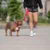 Collar, Reflective  - Neon Pink - Image 5