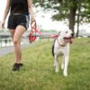 Leash, Reflective - Red - Image 2