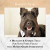 Dog Macarons (Box of 3) Human Grade Ingredients - Image 4