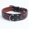 Collar, Leather, Tucson - Image 2