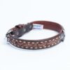 Collar, Leather, Tucson - Image 4