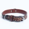 Collar, Leather, Tucson - Image 5