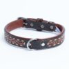 Collar, Leather, Tucson - Image 6