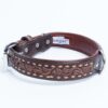 Collar, Leather, Tucson - Image 7