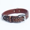 Collar, Leather, Tucson - Image 8