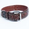 Collar, Leather, Tucson - Image 10