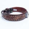 Collar, Leather, Tucson - Image 11