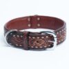 Collar, Leather, Tucson - Image 12