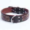 Collar, Leather, Tucson - Image 13