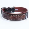 Collar, Leather, Tucson - Image 14