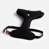 Harness, Dog, Aqua fleece - Black