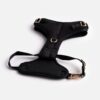 Harness, Dog, Aqua fleece - Black - Image 3