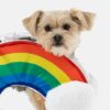 Dog Costume-Rainbow