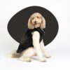 Dog Jacket-Denim Look, Washable
