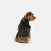 Dog Jacket-Denim Look, Washable - Image 2