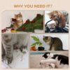 Cat Tree , Wall Mounted, Shelves , 4PCS - Grey - Image 5