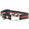 Collar- Dog, Engravable