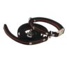 Collar- Dog, Engravable - Image 4