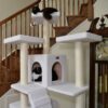 Cat Tree, Multi Levels , Real Wood, W/ Ramp, Three Perches, Two Condos-Ivory - Image 2